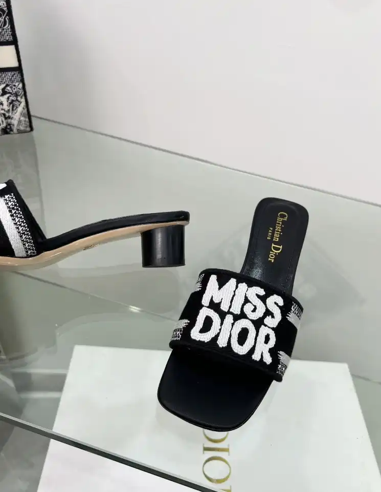 hype Christian Dior Slippers