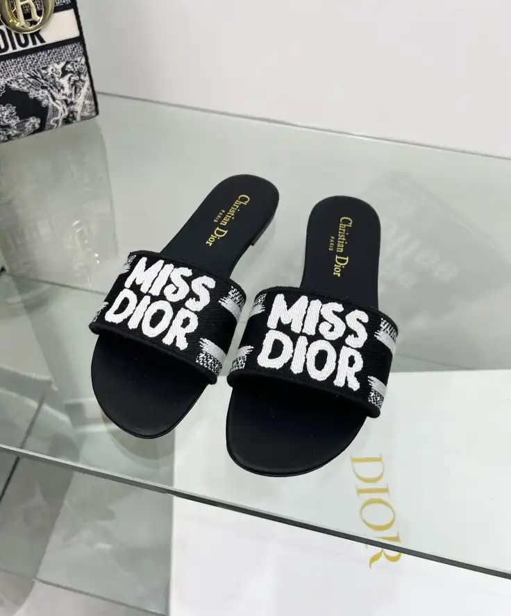 hype Christian Dior Slippers