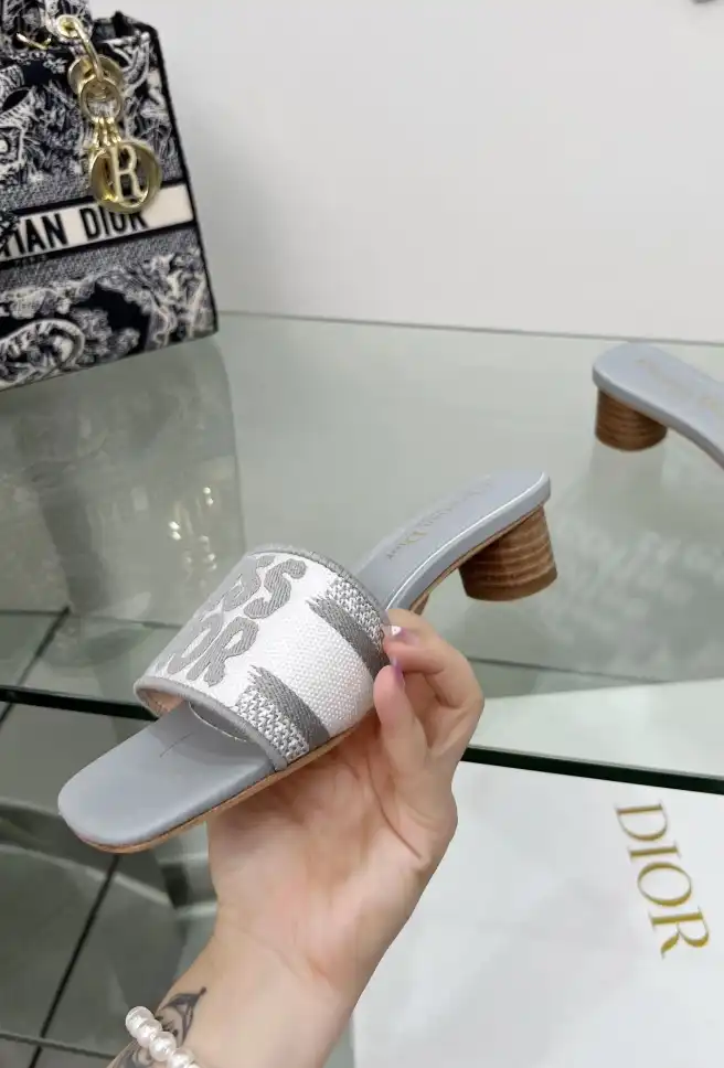 hype Christian Dior Slippers