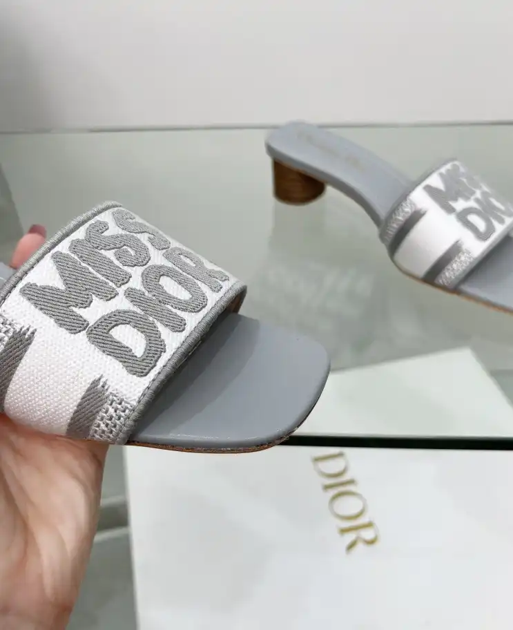 hype Christian Dior Slippers