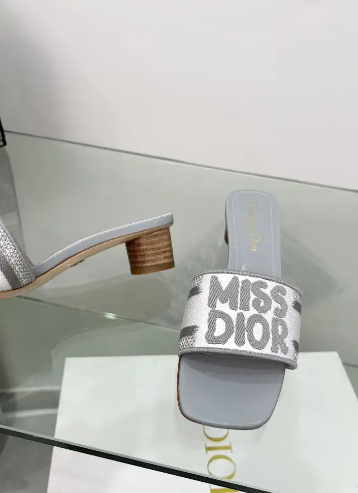 hype Christian Dior Slippers