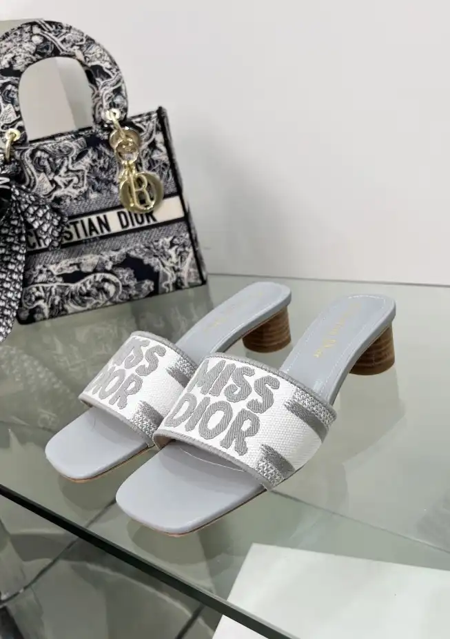 hype Christian Dior Slippers