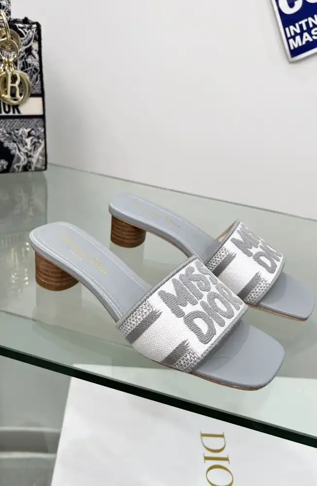 hype Christian Dior Slippers