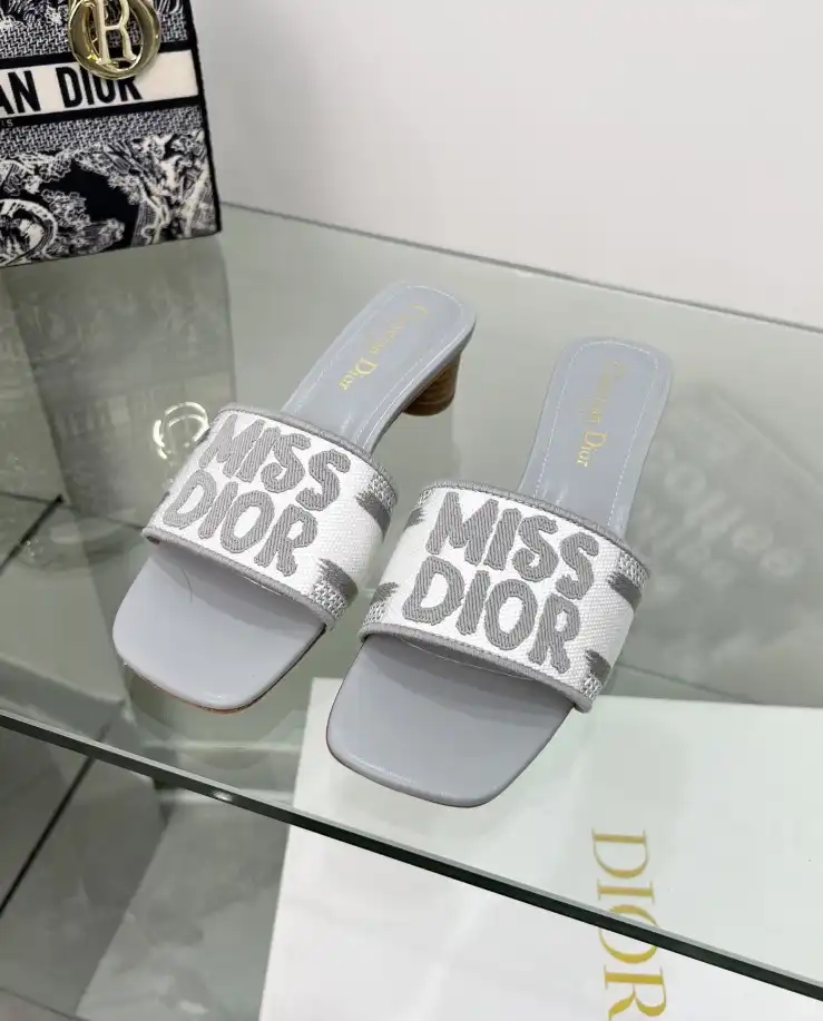 hype Christian Dior Slippers