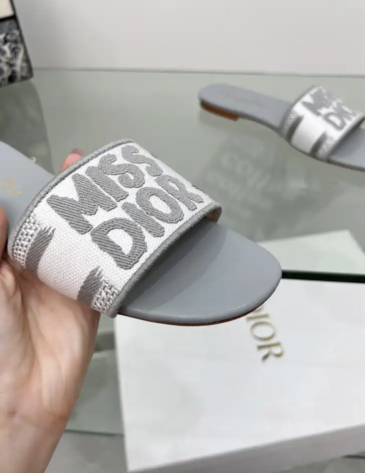 hype Christian Dior Slippers