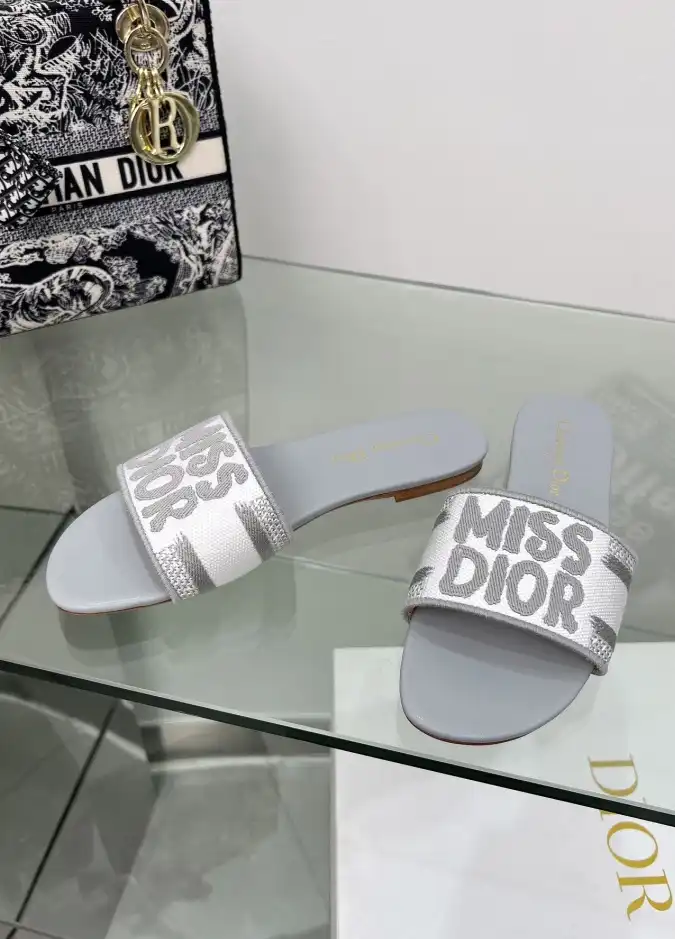 hype Christian Dior Slippers