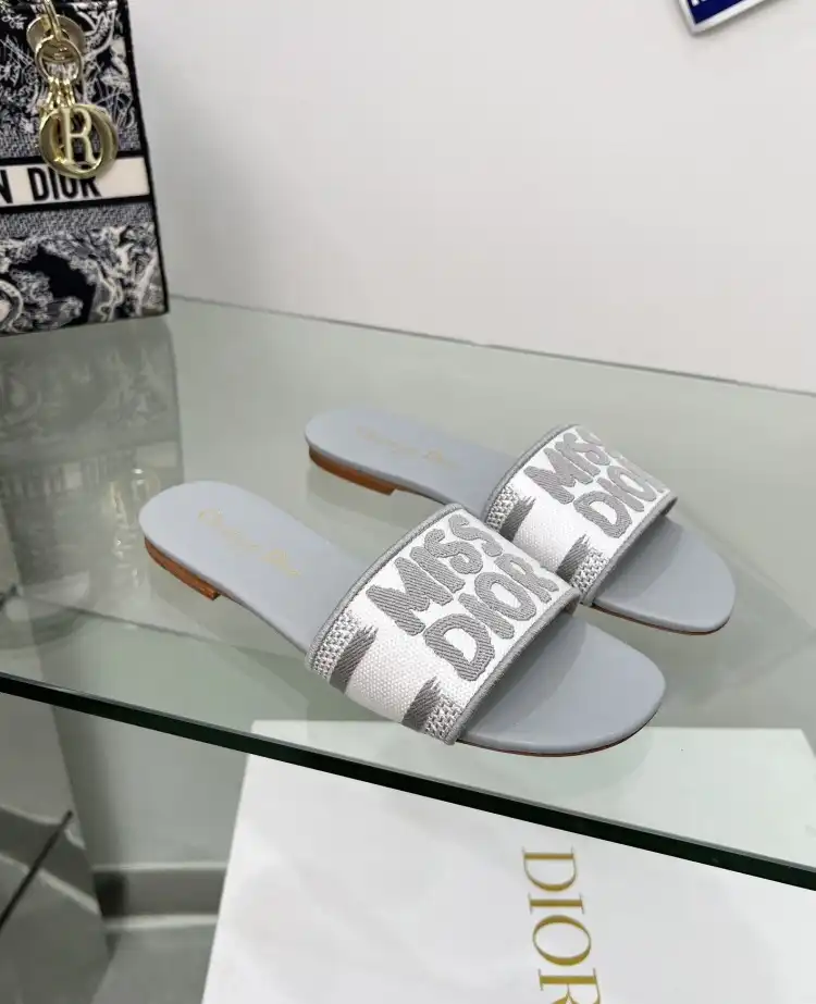 hype Christian Dior Slippers