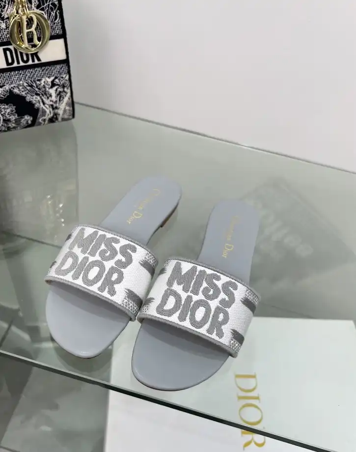 hype Christian Dior Slippers