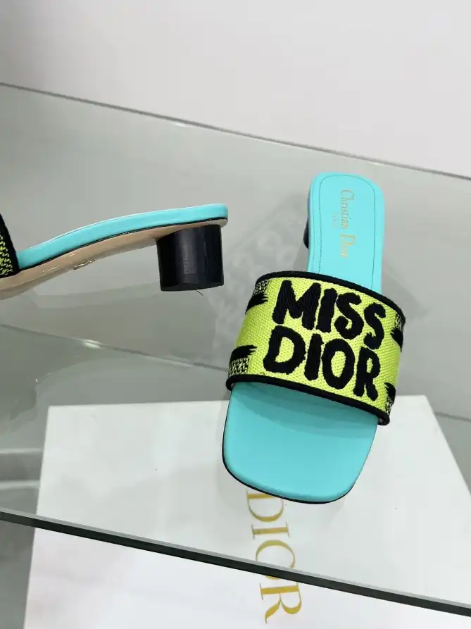 hype Christian Dior Slippers