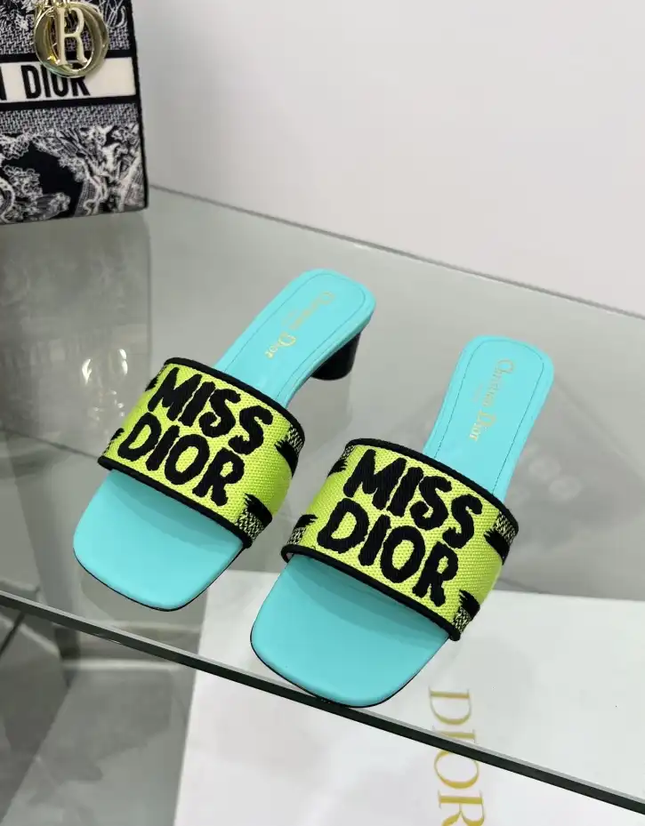 hype Christian Dior Slippers