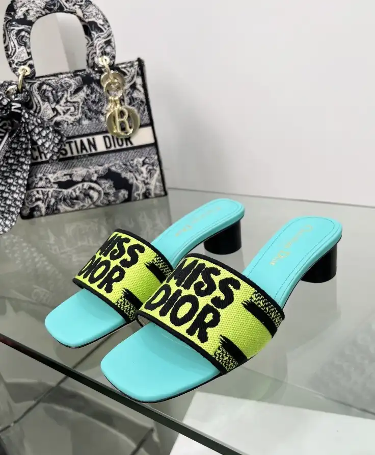 hype Christian Dior Slippers