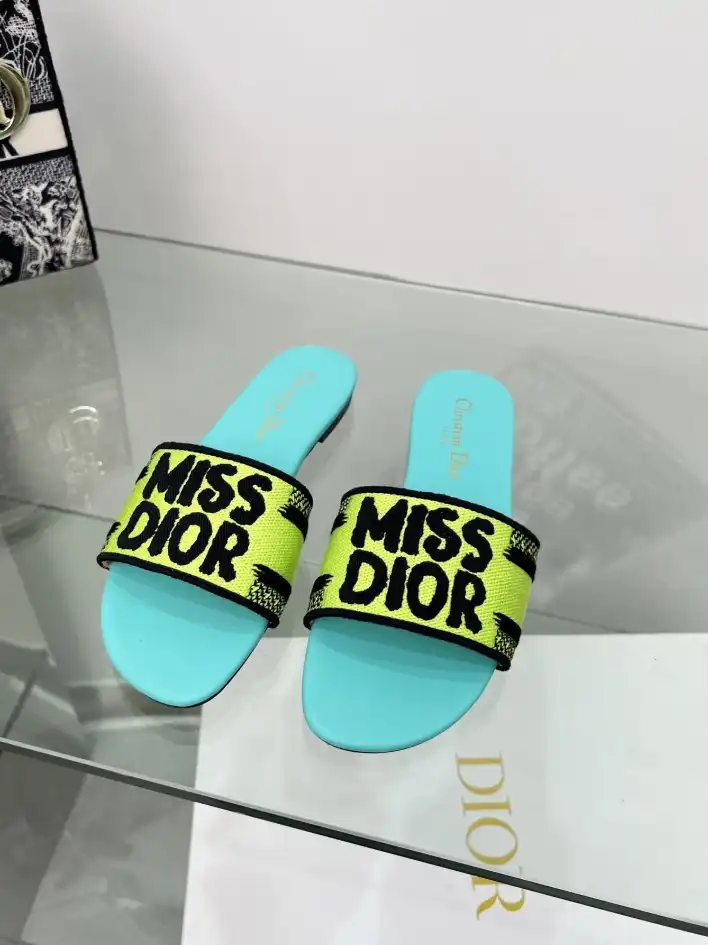 hype Christian Dior Slippers