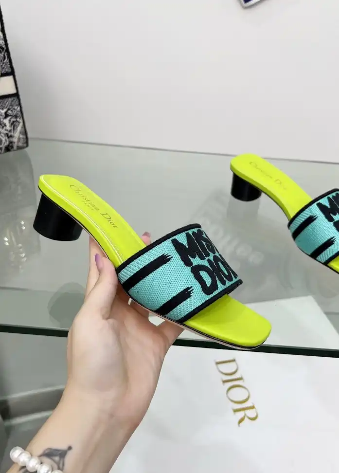 hype Christian Dior Slippers