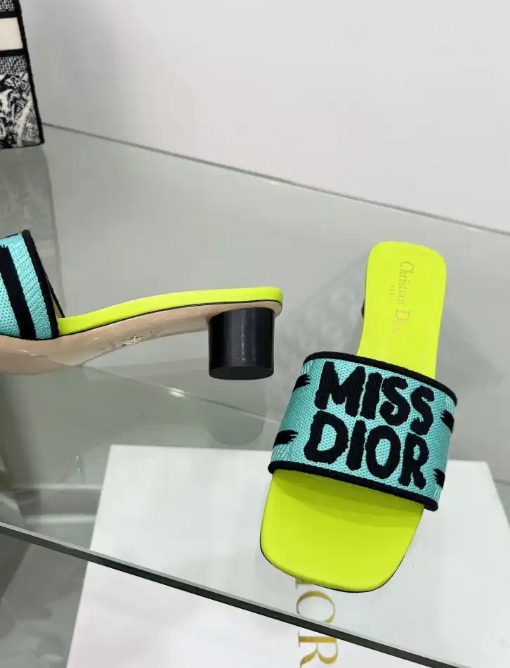 hype Christian Dior Slippers