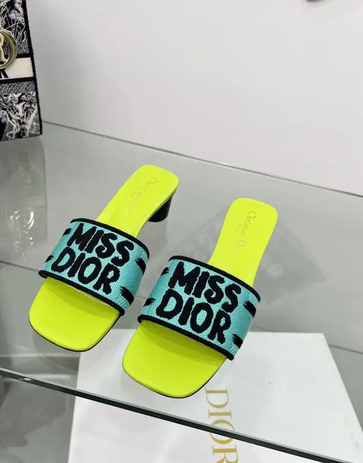 hype Christian Dior Slippers