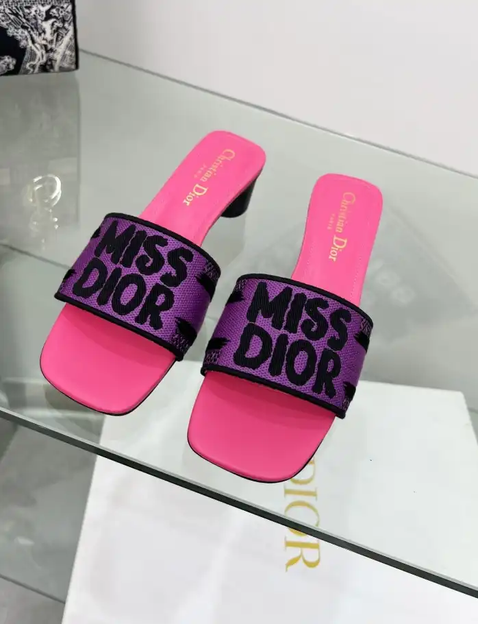 hype Christian Dior Slippers