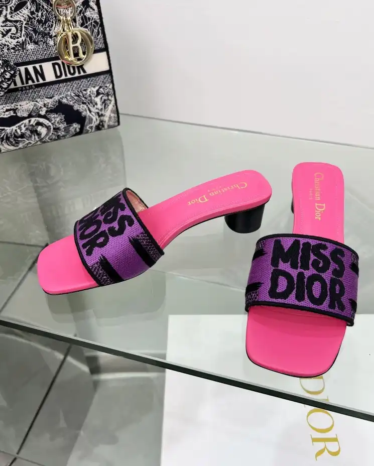 hype Christian Dior Slippers