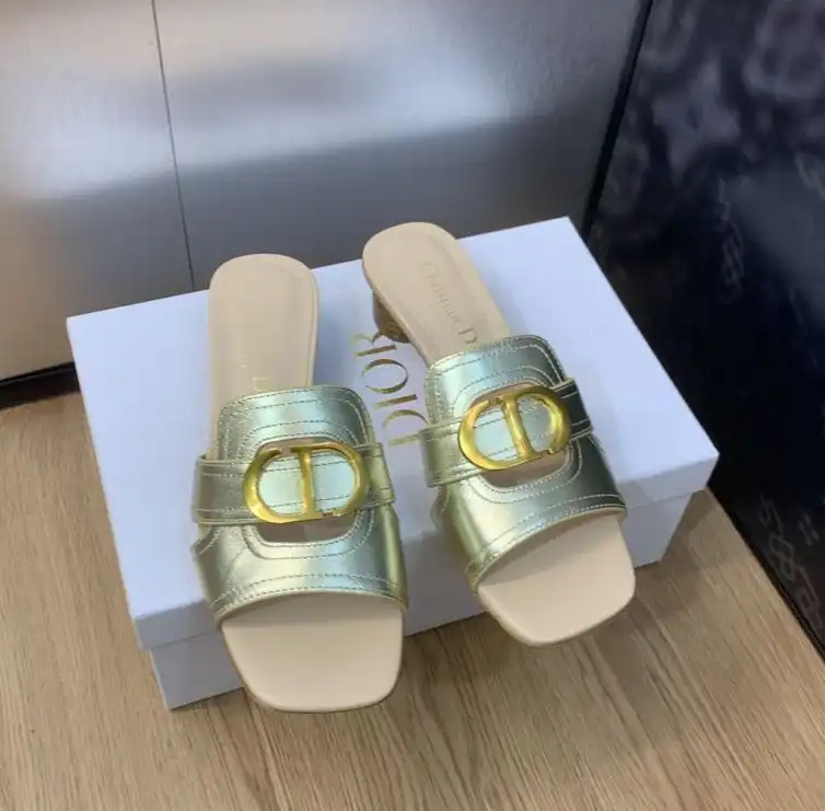 hype Christian Dior Slippers