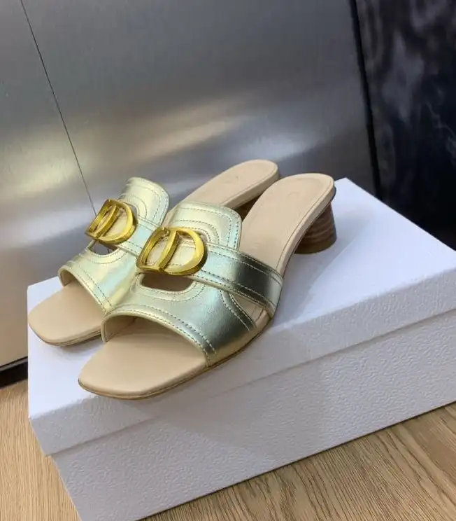 hype Christian Dior Slippers