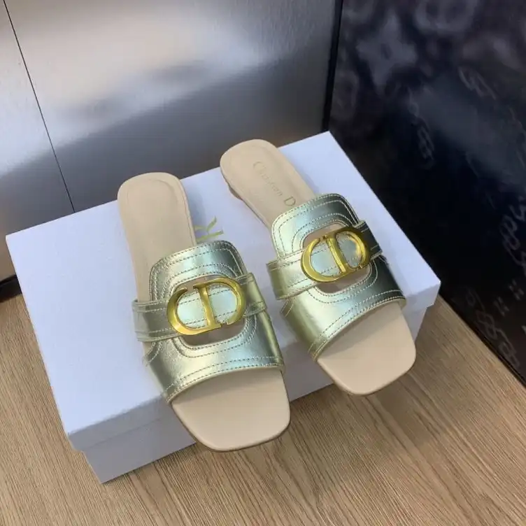 hype Christian Dior Slippers