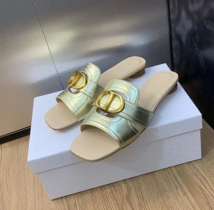 hype Christian Dior Slippers