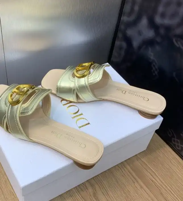 hype Christian Dior Slippers