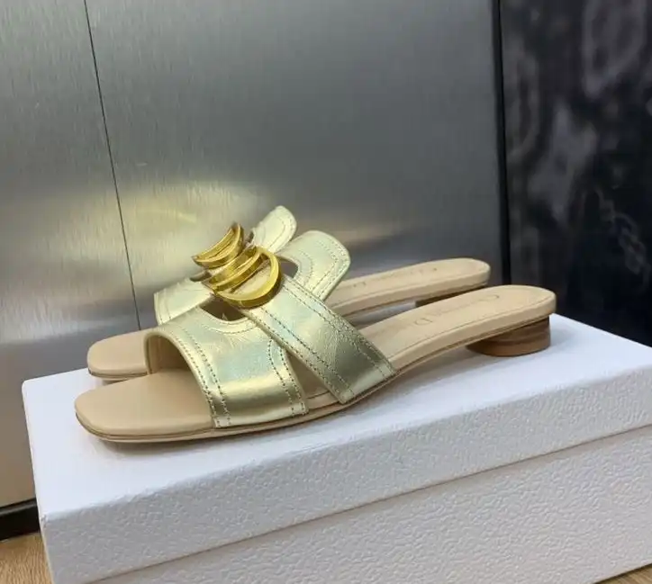 hype Christian Dior Slippers