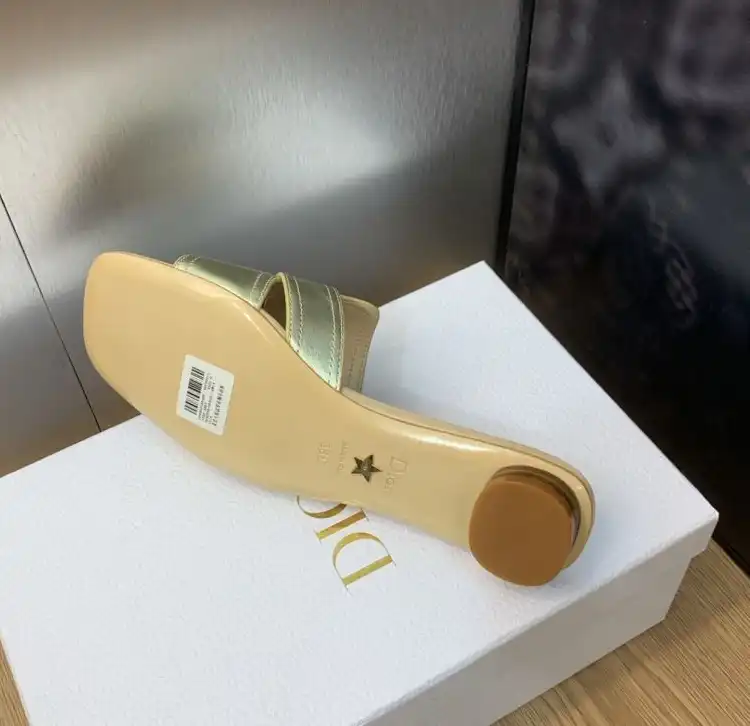 hype Christian Dior Slippers