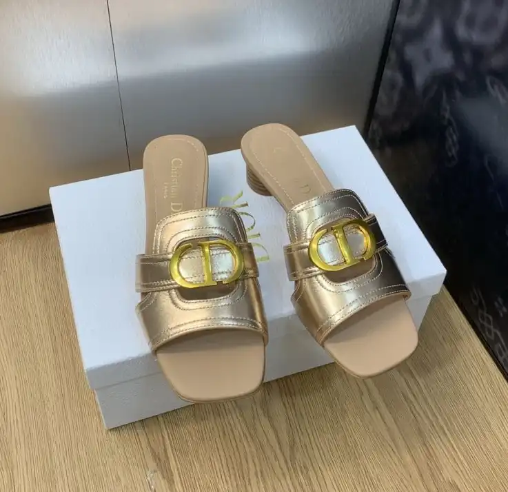 hype Christian Dior Slippers