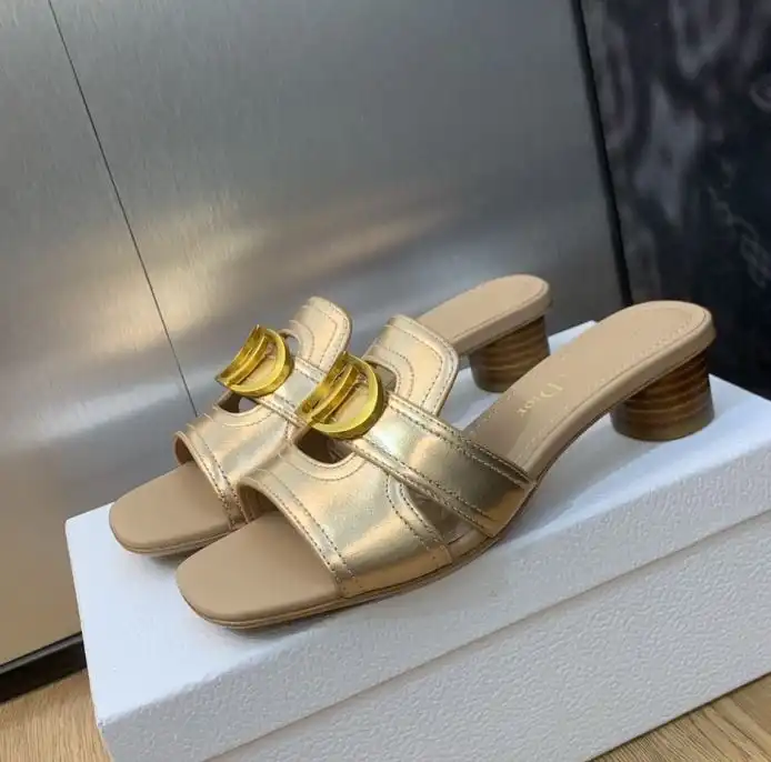 hype Christian Dior Slippers