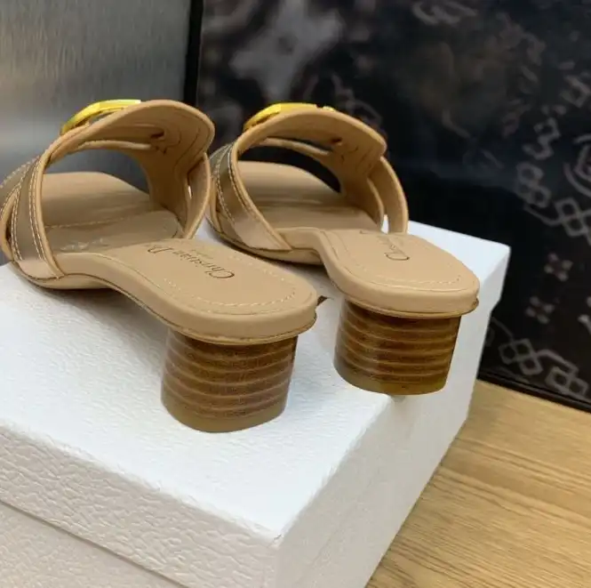 hype Christian Dior Slippers