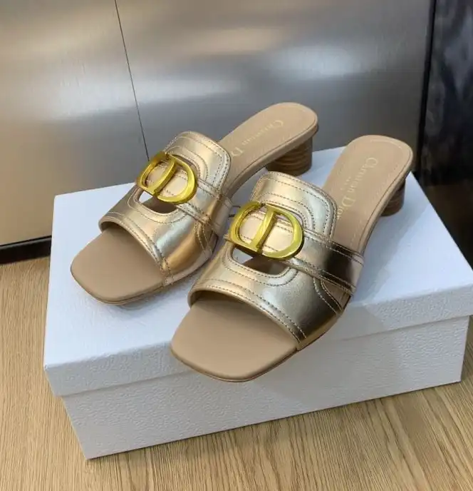 hype Christian Dior Slippers