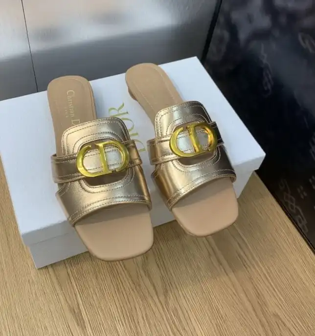 hype Christian Dior Slippers