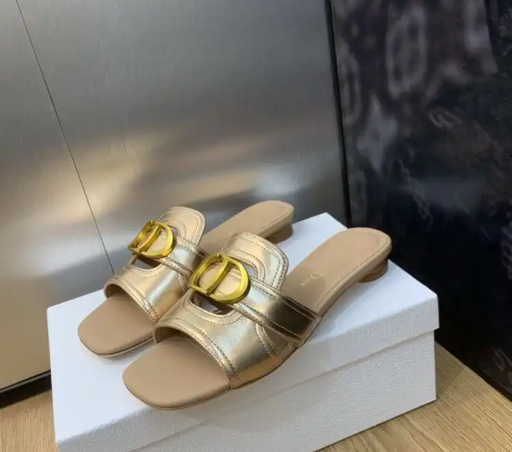 hype Christian Dior Slippers