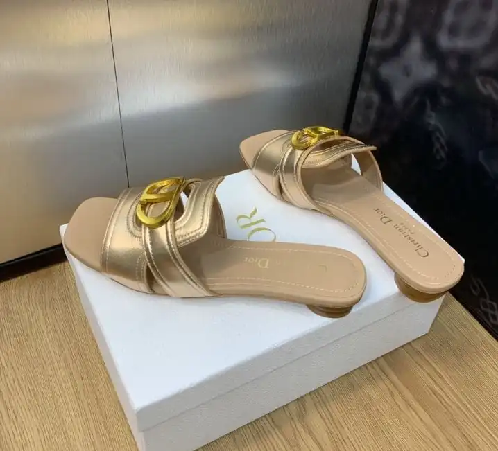 hype Christian Dior Slippers