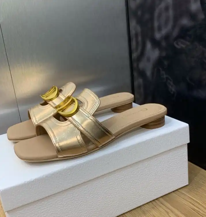 hype Christian Dior Slippers