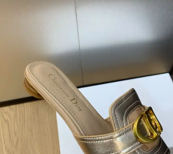 hype Christian Dior Slippers