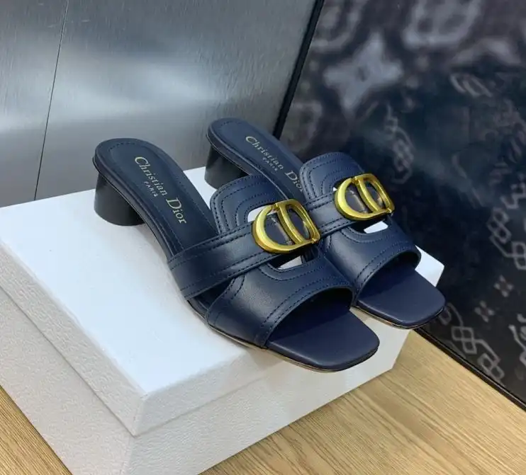 hype Christian Dior Slippers