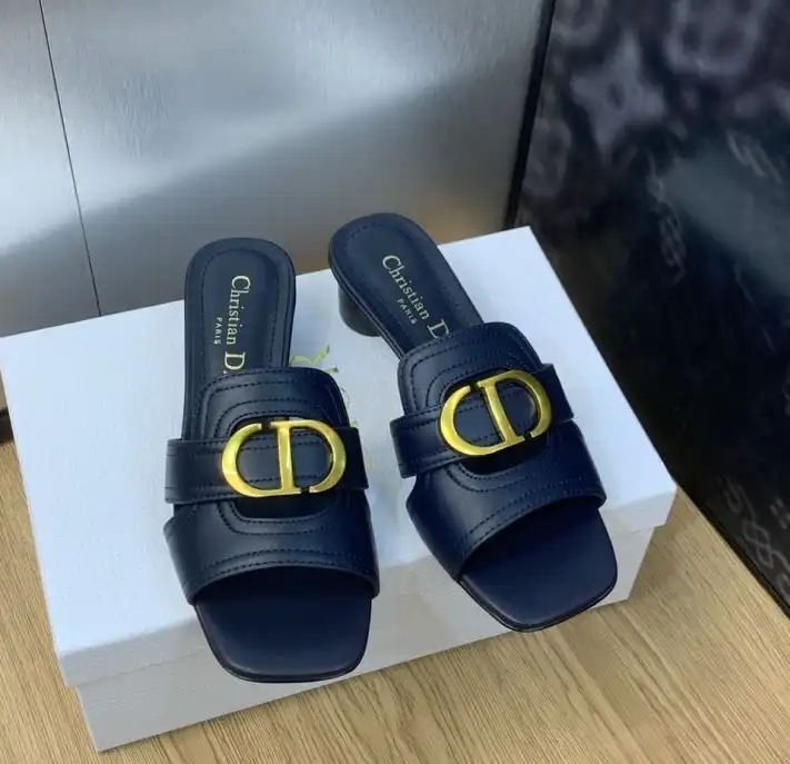 hype Christian Dior Slippers