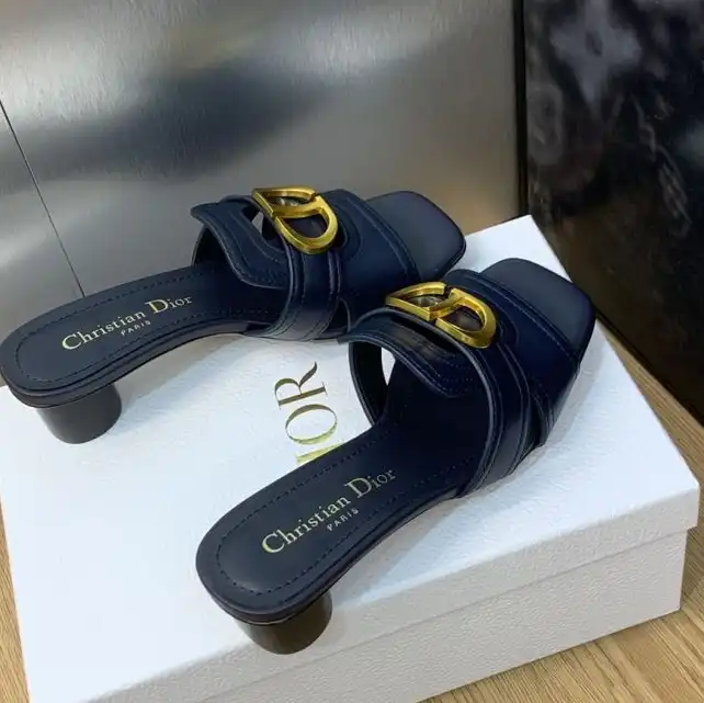 hype Christian Dior Slippers