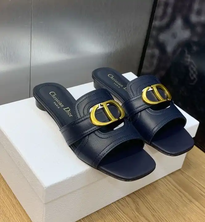 hype Christian Dior Slippers