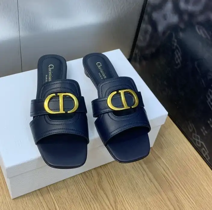 hype Christian Dior Slippers