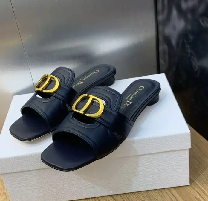 hype Christian Dior Slippers