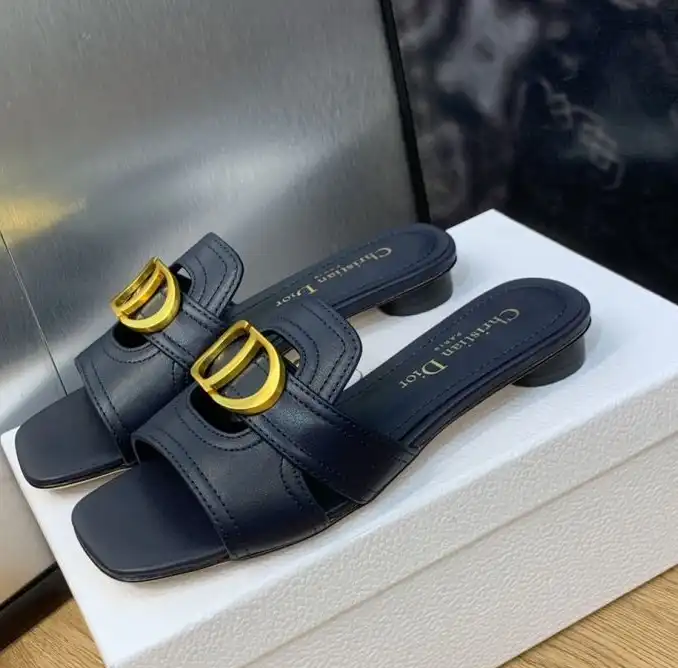 hype Christian Dior Slippers