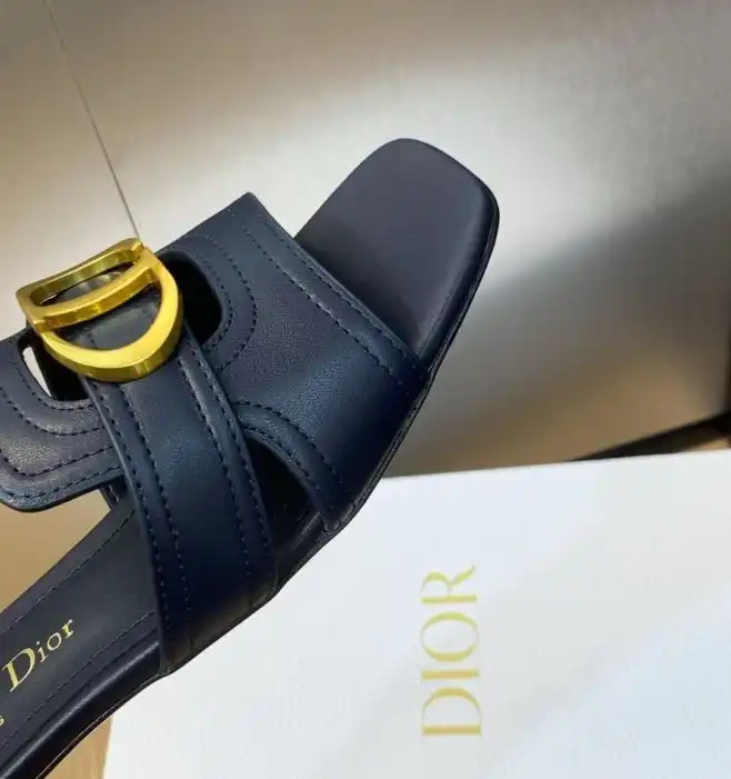 hype Christian Dior Slippers