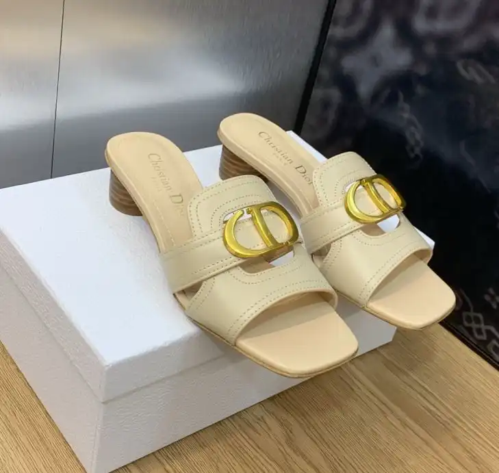 hype Christian Dior Slippers