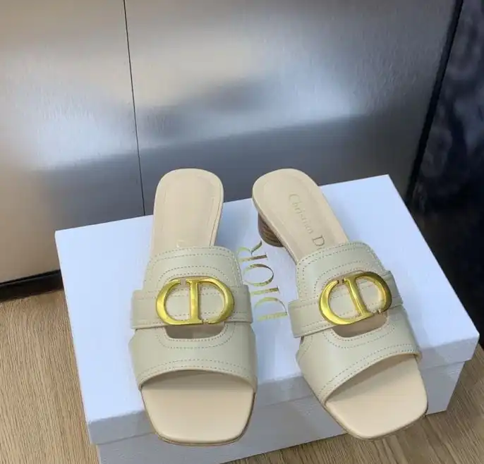 hype Christian Dior Slippers