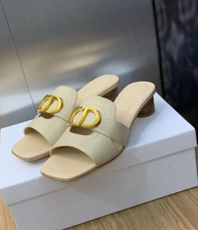 hype Christian Dior Slippers