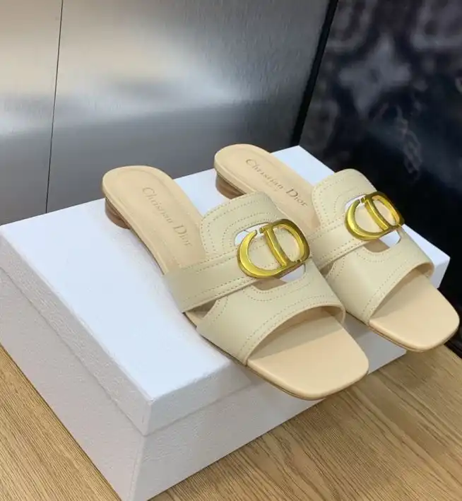 hype Christian Dior Slippers