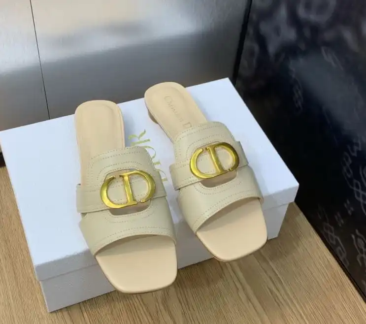 hype Christian Dior Slippers